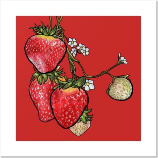 Strawberries Posters and Art